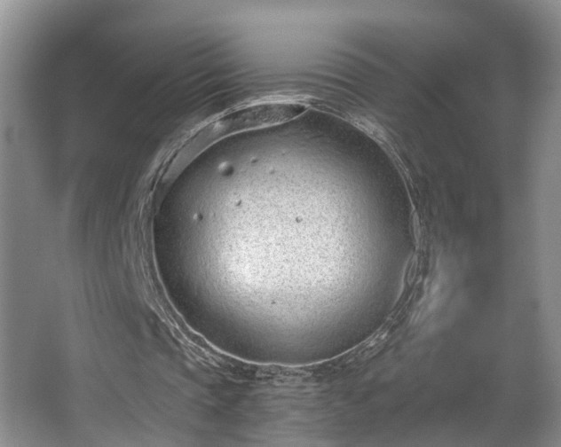 X0000068310337200604241409