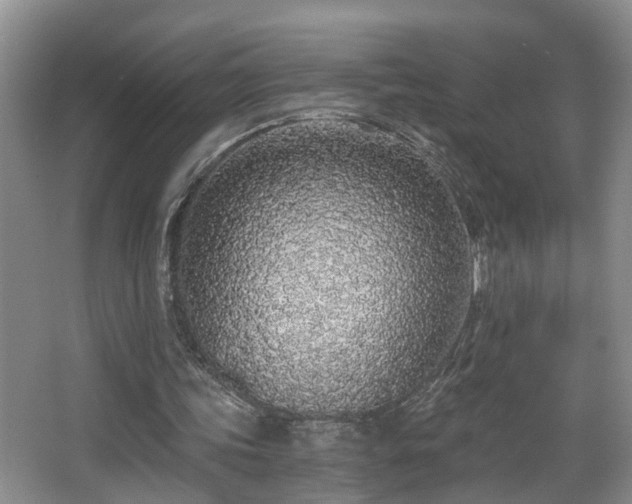 X0000068310339200604241409