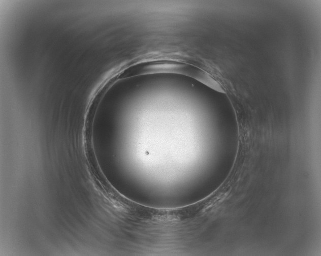 X0000068310340200604241409