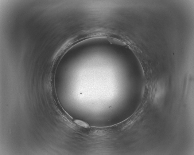 X0000068310341200604241409