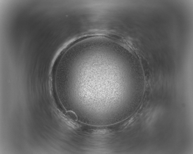 X0000068310342200604241409