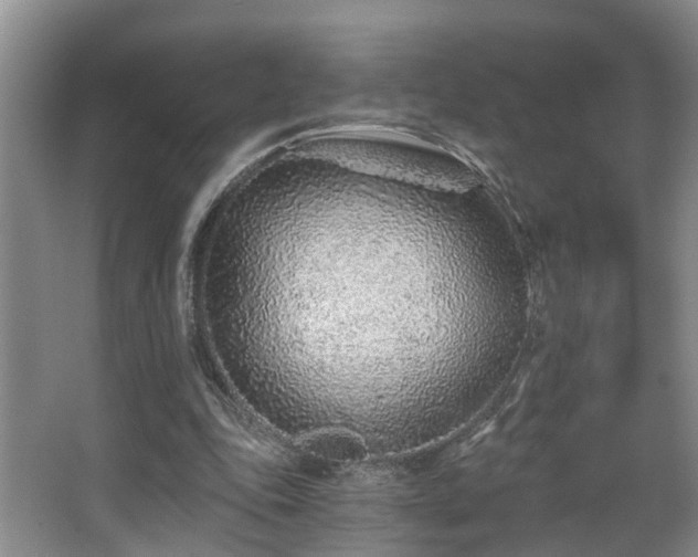 X0000068310343200604241409