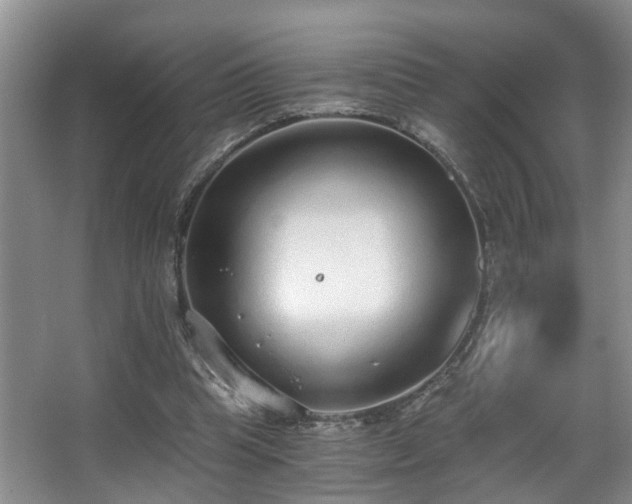 X0000068310345200604241409