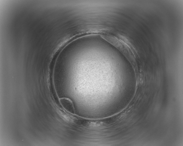 X0000068310346200604241409