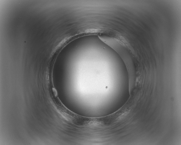 X0000068310348200604241409