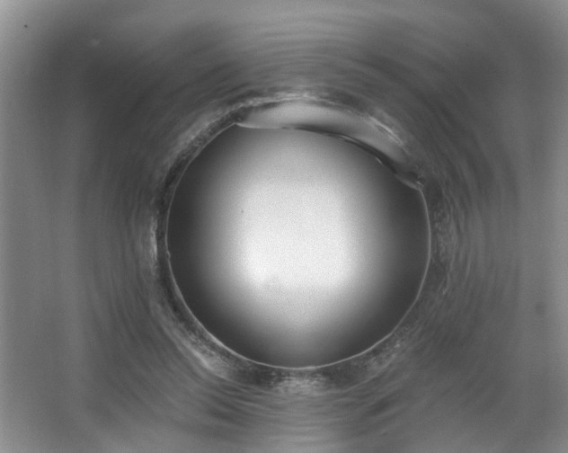 X0000068310350200604241409