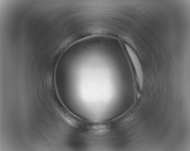 X0000068310357200604241409