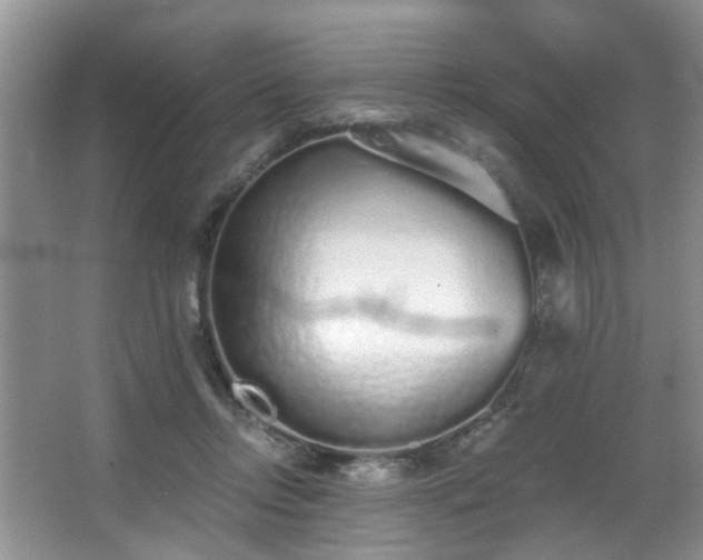 X0000068310358200604241409