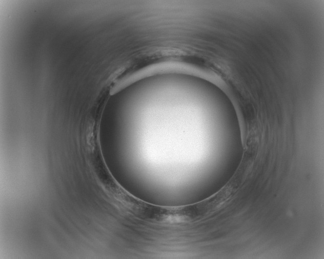 X0000068310360200604241409