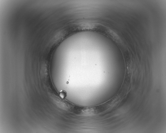 X0000068310362200604241409