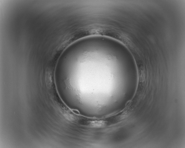 X0000068310363200604241409