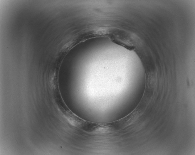 X0000068310364200604241409