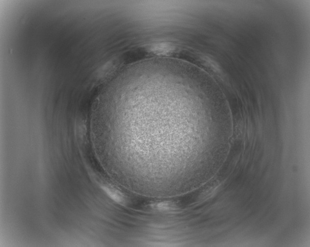 X0000068310365200604241409