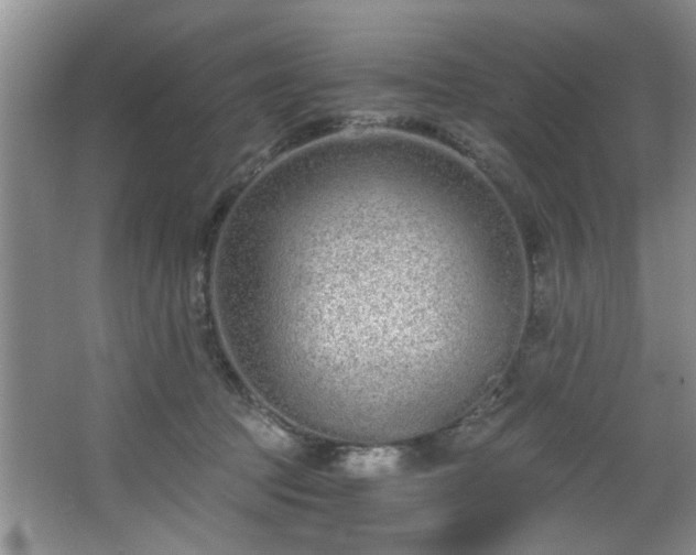 X0000068310369200604241409