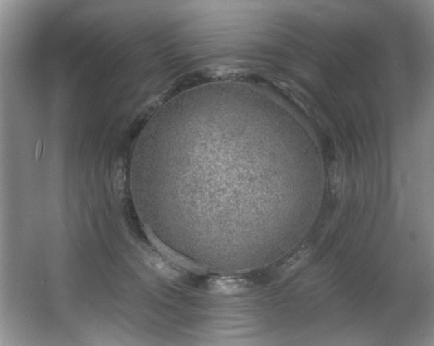 X0000068310372200604241409