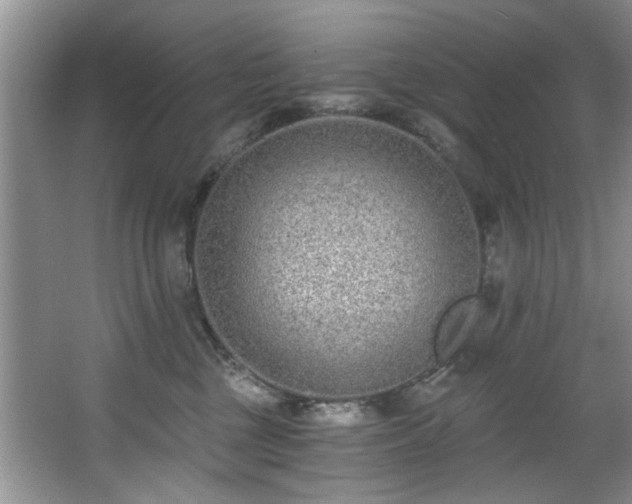 X0000068310377200604241409