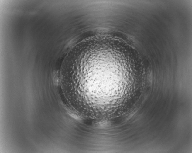 X0000068310383200604241409