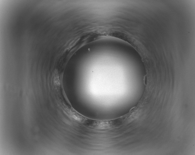 X0000068310384200604241409