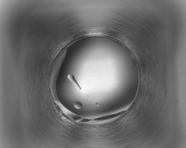 X0000068310385200604241409