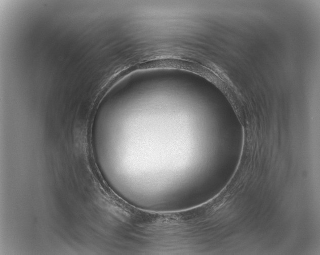 X0000068310386200604241409