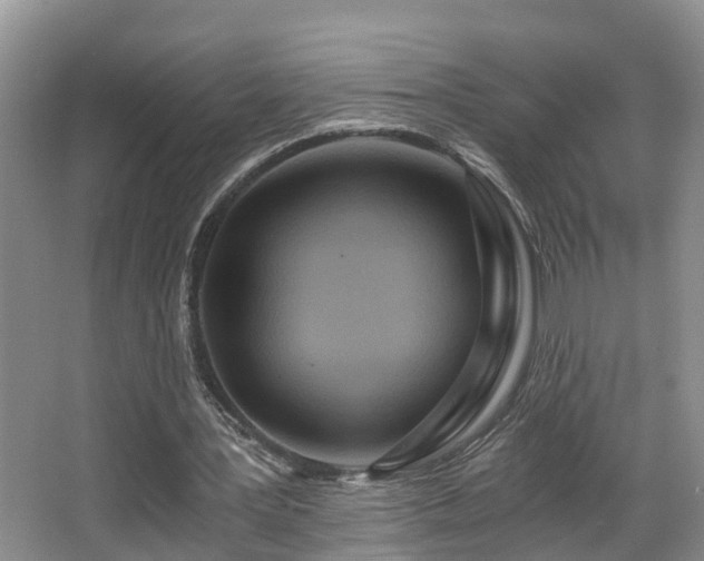 X0000068310387200604241408