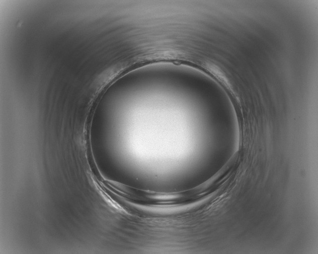 X0000068310389200604241408