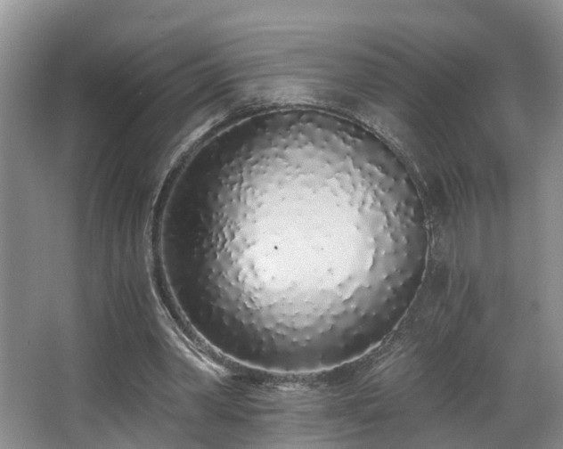 X0000068310390200604241408