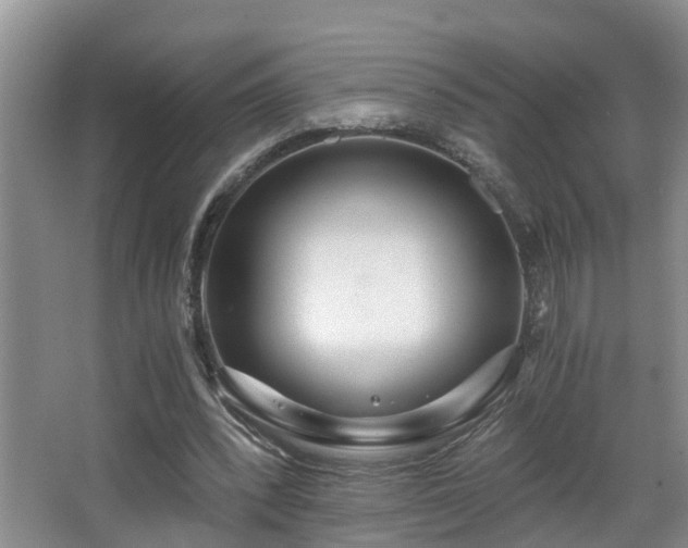 X0000068310392200604241408