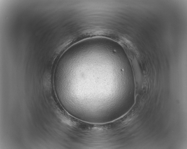 X0000068310394200604241408