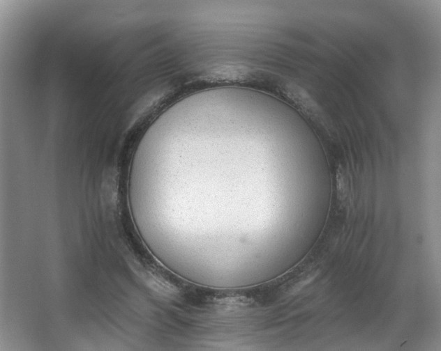 X0000068310396200604241408