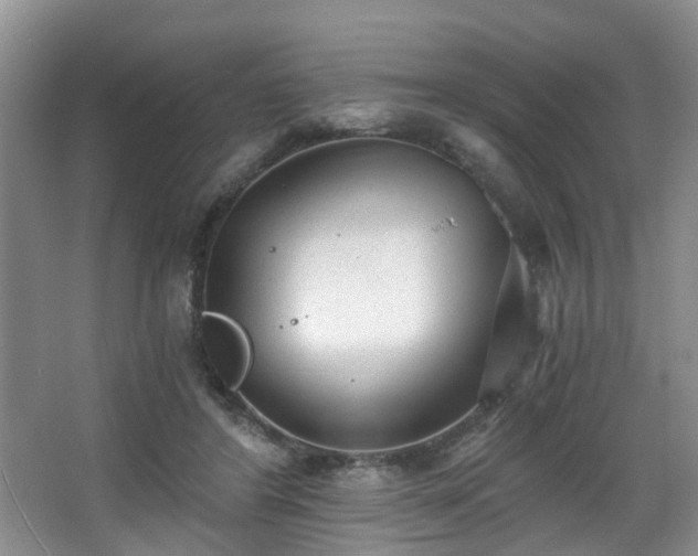 X0000068310404200604241408