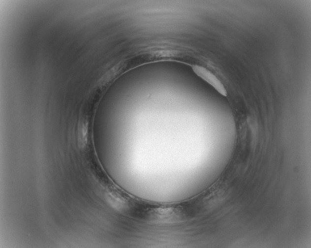 X0000068310406200604241408