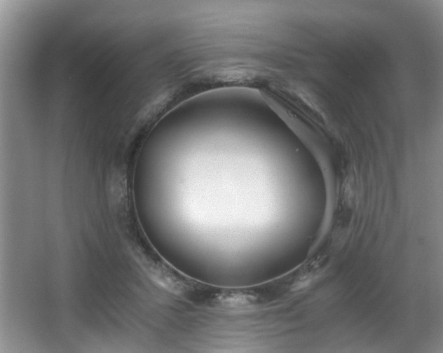 X0000068310407200604241408