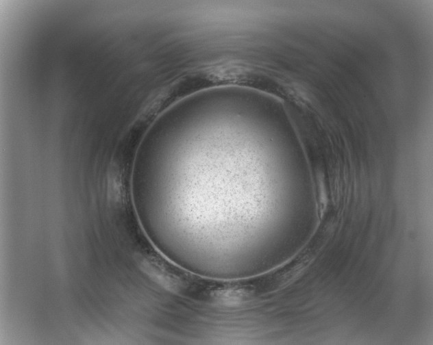 X0000068310408200604241408