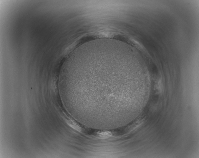 X0000068310409200604241408