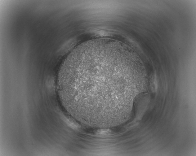 X0000068310410200604241408