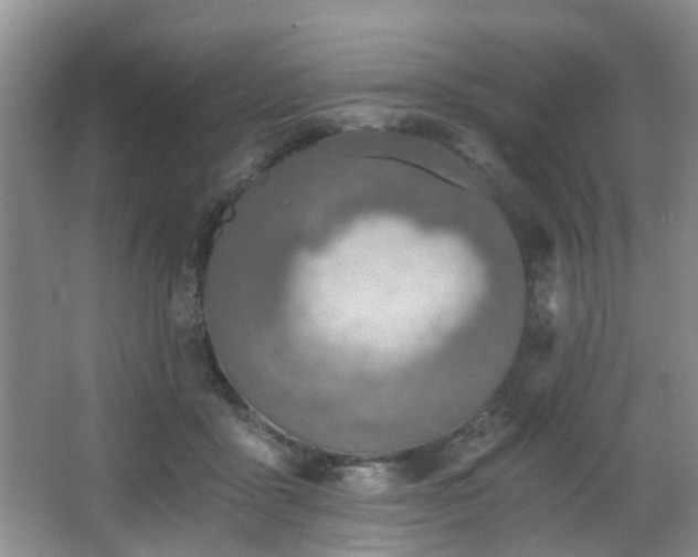 X0000068310411200604241408