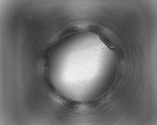 X0000068310412200604241408