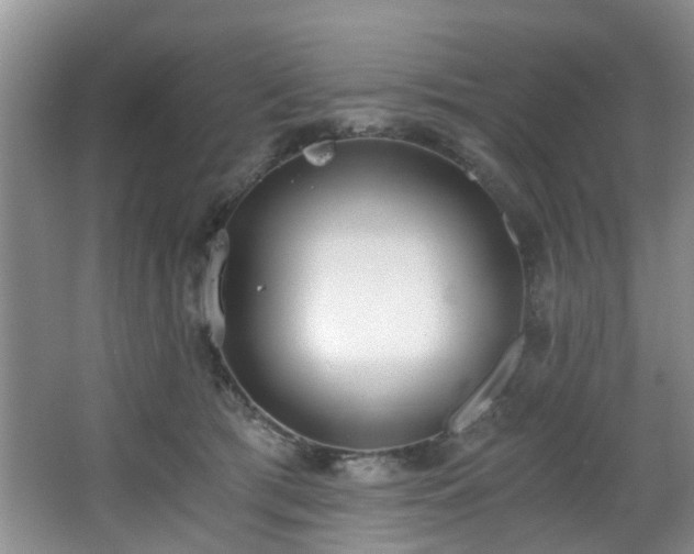 X0000068310417200604241408