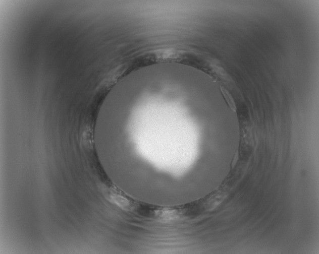 X0000068310419200604241408