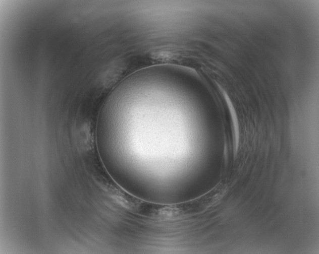 X0000068310420200604241408