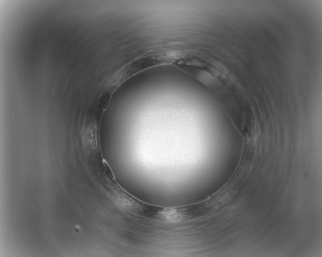 X0000068310425200604241408