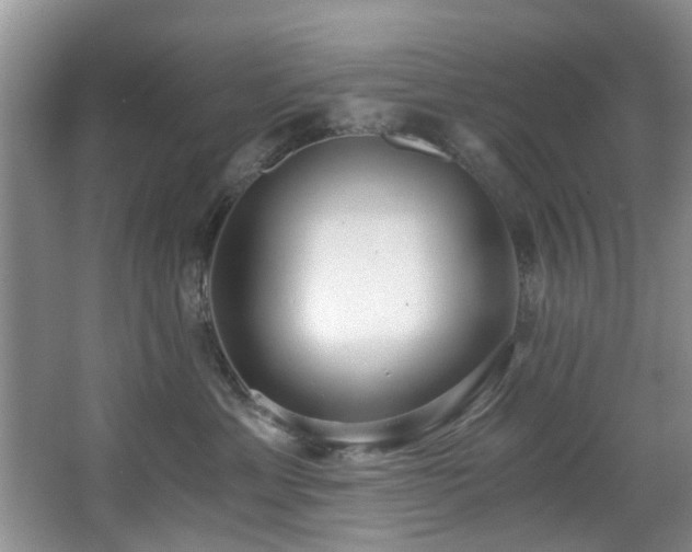 X0000068310429200604241408