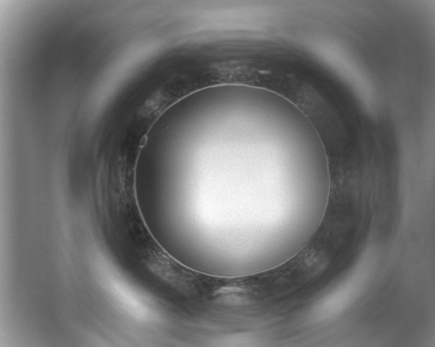 X0000068310430200604241408