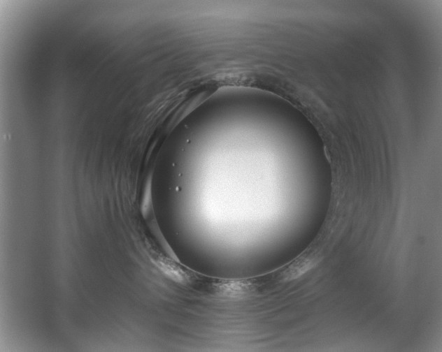 X0000068310432200604241408