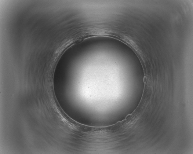 X0000068310433200604241407