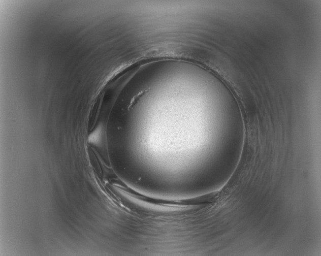 X0000068310434200604241407