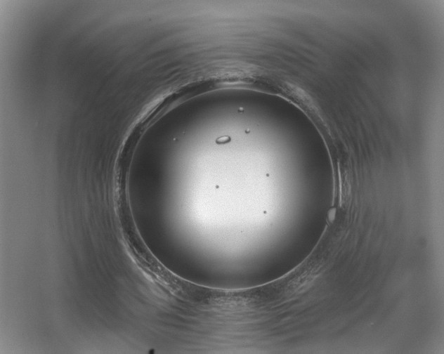 X0000068310435200604241407