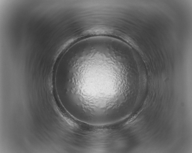 X0000068310438200604241407