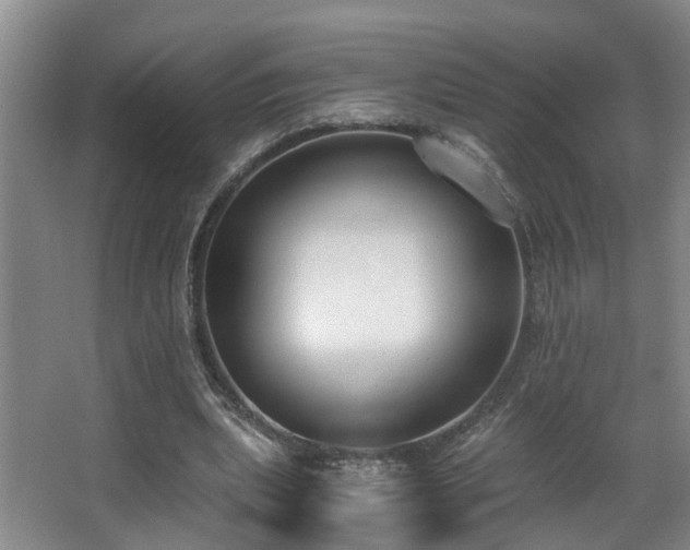 X0000068310439200604241407